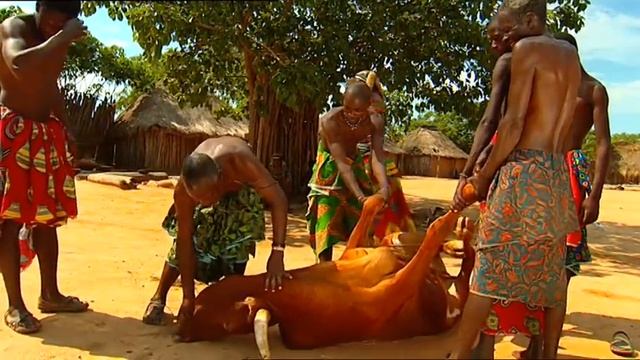 MADE IN ANGOLA смотреть онлайн