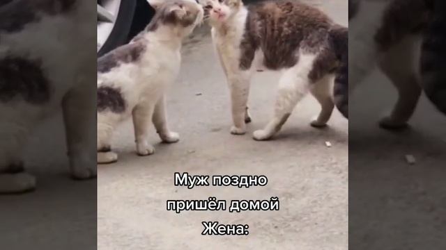 Когда муж пришёл поздно домой смотреть онлайн