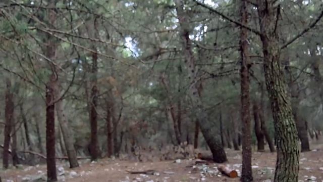 Иностранцы говорят по-русски, Кастель-дель-Монте | EVS in Italy | Влог 33 смотреть онлайн