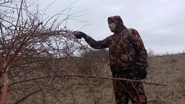 Бушкрафт укрытие от дождя. Bushcraft. Еда на костре
