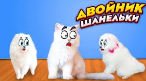 ДВОЙНИК Шанельки!!!  "Кто НАСТОЯЩИЙ??".mp4