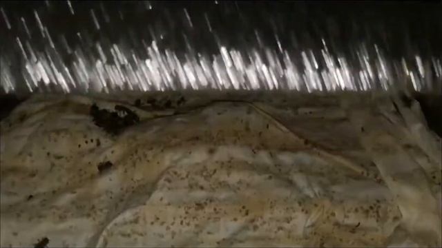 Медовое Канди, лучшая зимняя подкормка.подкормка пчел зимой смотреть онлайн