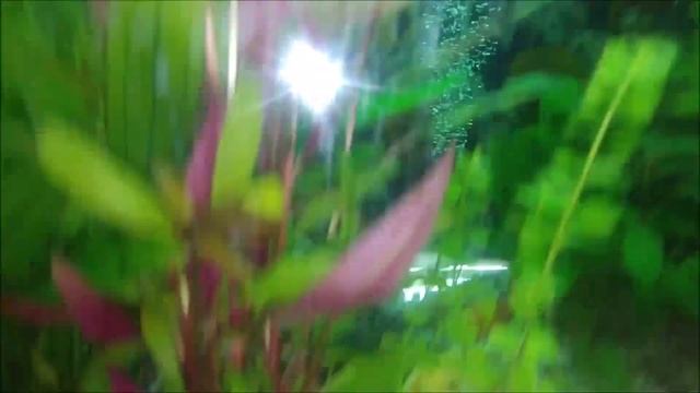 КАК ПЕРЕЖИТЬ ТЯЖЁЛЫЕ ВРЕМЕНА?КАК КОРОНАВИРУС В ГЕРМАНИИ ИЗМЕНИЛ НАШУ,МОЮ ЖИЗНЬ.ПОЗИТИВНЫЙ НАСТРОЙ