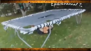 Приколы про девушек! Смешные падения! Приколы с животными! Jokes about girls! Funny drops & animals