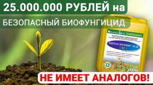 Не имеющий аналогов в мире наш Фитоспорин-АС  выиграл грант!