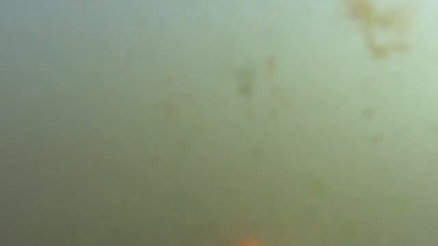 Подводный поиск с пинпоинтером СФИНКС 02 в АНАПЕ 2021 / МОРЕ ЛЮДЕЙ и ЗОЛОТА !!! смотреть онлайн