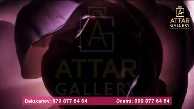 Tom Ford Rose Prick смотреть онлайн