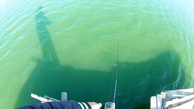 Ловля СУДАКА И ОКУНЯ в скалах // ловля ХИЩНИКА осенью / Клевая рыбалка 2020 смотреть онлайн