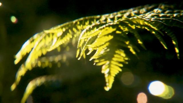 432 Hz OM Mantra - Positive Energy - Spiritual RESET In Your Home & Yourself | Raise Your Vibration смотреть онлайн