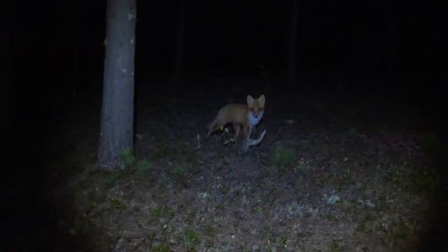 Рыбалка на Айваседо-Пур.Тарко-Сале.Красоты Сибири. смотреть онлайн