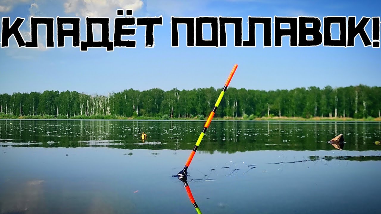 ПЕСЧАНАЯ ЯМА КИШИТ! ЗДОРОВЕННЫЙ СРАЗУ кладёт поплавок! Это лещ или язь! смотреть онлайн