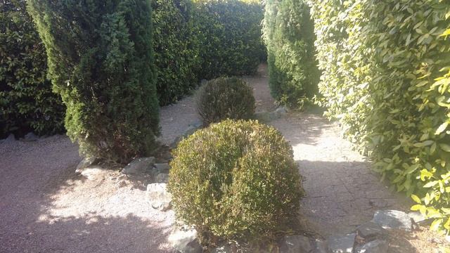 Крым 2023 Ялта - БАЛ ХРИЗАНТЕМ Никитский ботанический сад смотреть онлайн