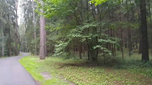 Прогулочные дорожки в Лепельском военном санатории. смотреть онлайн