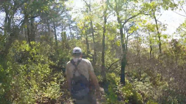 Woods Mountain Virtual Hike - Part 1 смотреть онлайн