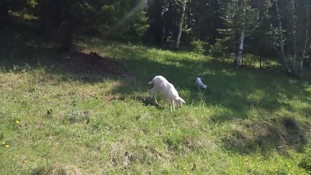 Поездка в Таёжный: Красноярский край