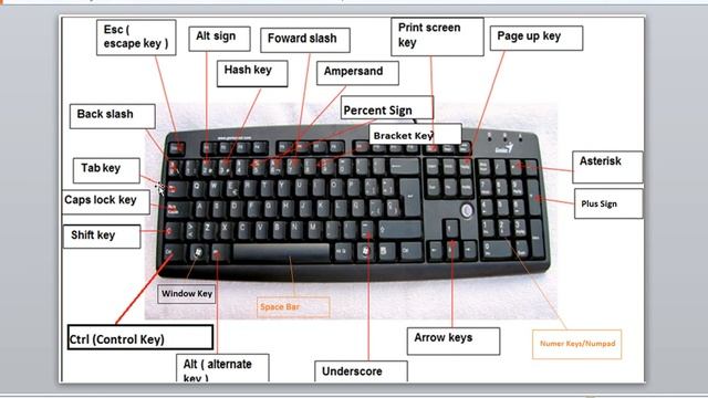 Basic Knowledge of Computer/Laptop Keyboard P1 Ctrl , Shift, Caps Lock, Tab and Print Scrn Key etc смотреть онлайн