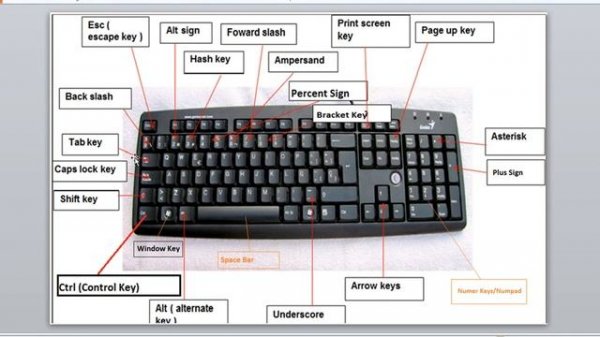 Basic Knowledge of Computer/Laptop Keyboard P1 Ctrl , Shift, Caps Lock, Tab and Print Scrn Key etc