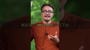 ЖВАК - полезная жвачка из бересты // Живая аптека