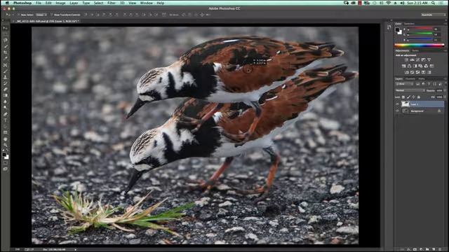 How to: apply a high pass filter within Photoshop Elements 10 смотреть онлайн