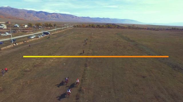 Стоит ли участвовать в скачках? смотреть онлайн