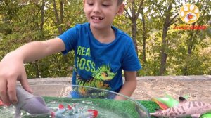 Чудовища морских глубин Big Animal World МЕНЯЮТ ЦВЕТ  ???