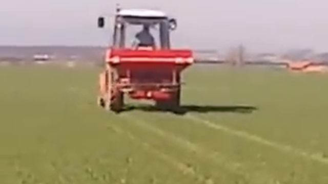 PRIHRANA PŠENICE 2013. смотреть онлайн
