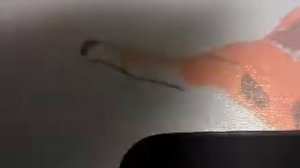 Как сделать мини скейт из картона!