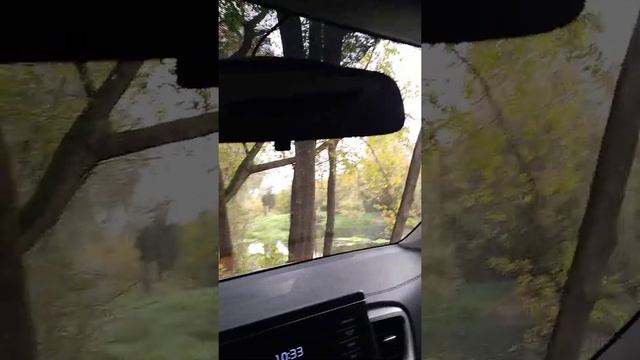 БОЛЬШОЙ ВЛОГ Круизконтроль на новой машине ? смотреть онлайн