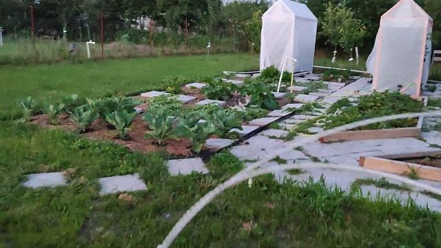 Домашний аквапарк. смотреть онлайн