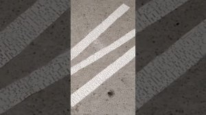 Перелом ноги у курицы.