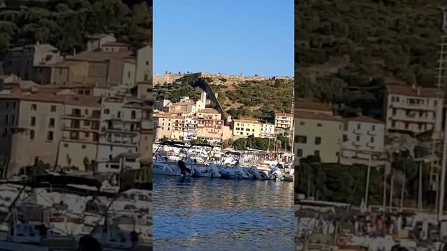 best of porto ercole смотреть онлайн