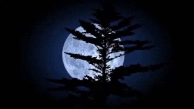 МОЙ СОН смотреть онлайн