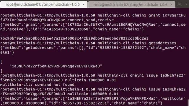 MultiChain transaction test смотреть онлайн