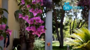 Club Asteria Belek 5* (Клаб Астерия Белек) - Belek, Turkey (Белек, Турция)