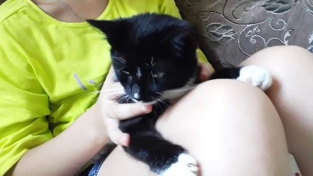 КАКИМ Я БЫЛ, КАКИМ СТАЛ?/Котик Уголёк смотреть онлайн