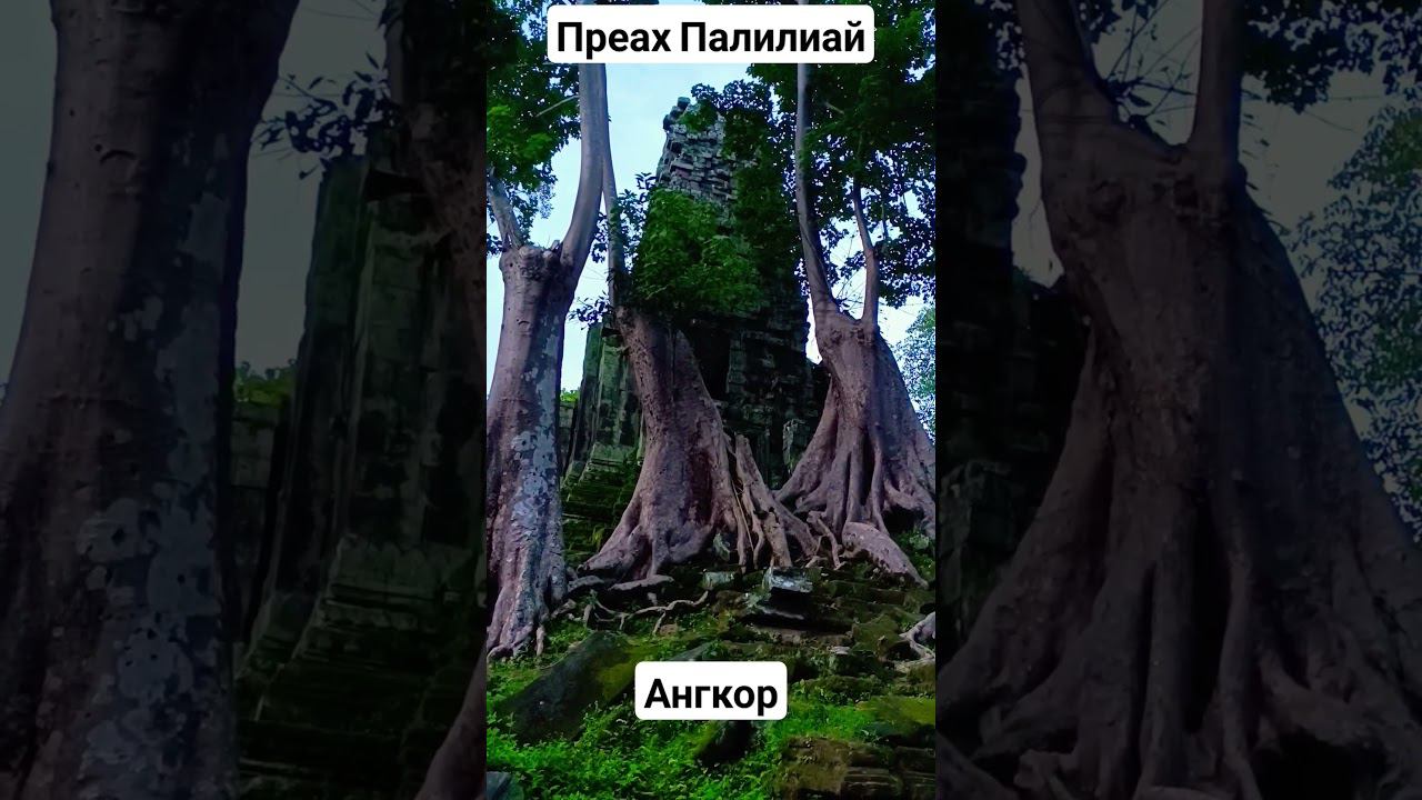 Храмы Ангкора. Преах Палилай. #камбоджа #ангкор смотреть онлайн