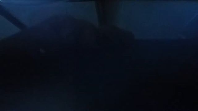 Rdr2 M1899 Pistol Vs Cave Hermit смотреть онлайн