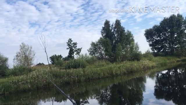 Ловля окуня на спиннинг рок Фиш от серебряного ручья смотреть онлайн