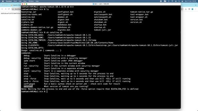 Download and Install Tomcat 10 on macOS смотреть онлайн