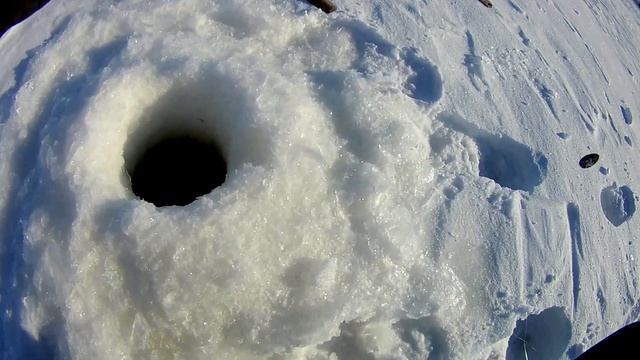 ЛОВЛЯ СУДАКА ВЕСНОЙ.НЕ ОЖИДАННЫЙ УЛОВ.река ВОЛГА. смотреть онлайн