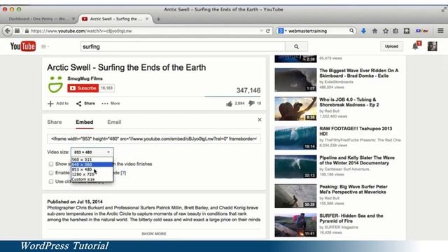 Adding Media in WordPress смотреть онлайн