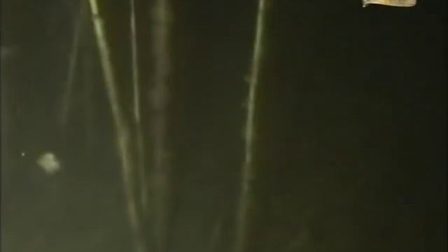 Подводная охота (А.Кочубей): Открытие сезона. смотреть онлайн