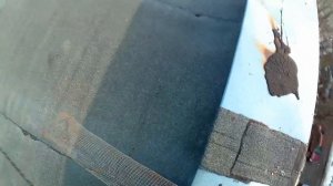 Птицы на чердаке. Простой способ закрыть доступ