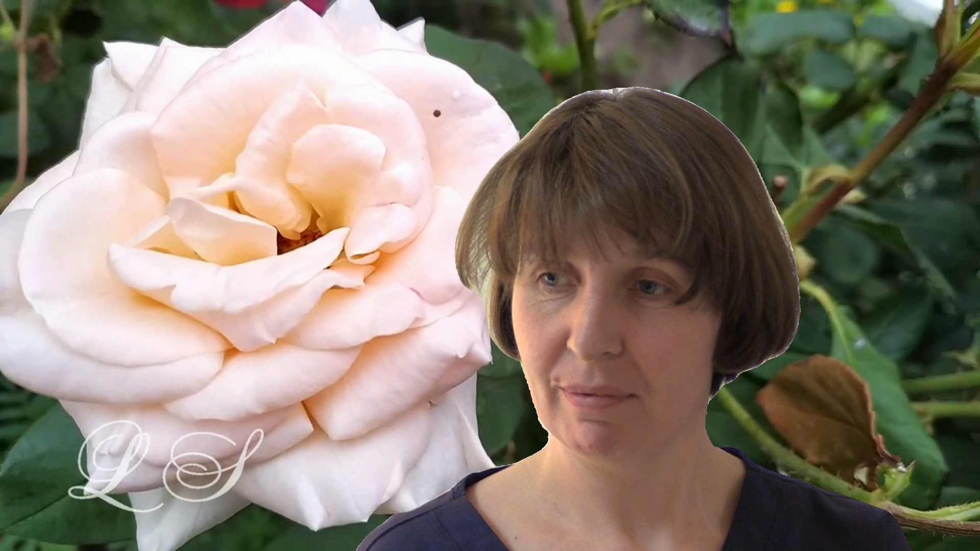 Поздравляем с Днём Рождения
медицинскую сестру-анестезиста
Татьяну Валентиновну Терехину.mp4