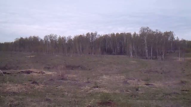 Родовое поместье Даарислава возле Анишино Тульская обл. Ранняя весна, прохладно, сильный ветер. смотреть онлайн