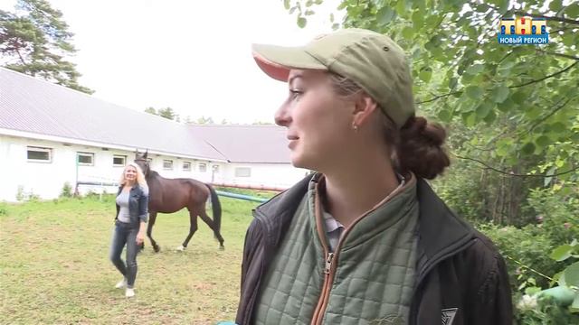 Жеребенок в детско-юношеской спортивной школе по конному спорту смотреть онлайн