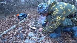 Охота с подхода на утку с русским охотничьим спаниелем.