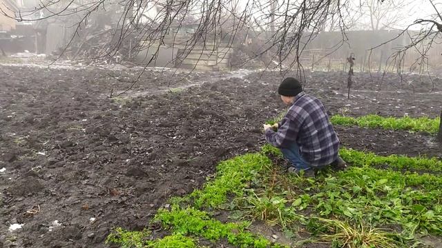 Глазаста Оля! Що роблю з магазинними чеками?? смотреть онлайн