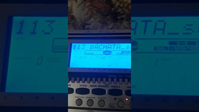 Ritmos yamaha psr-540 смотреть онлайн