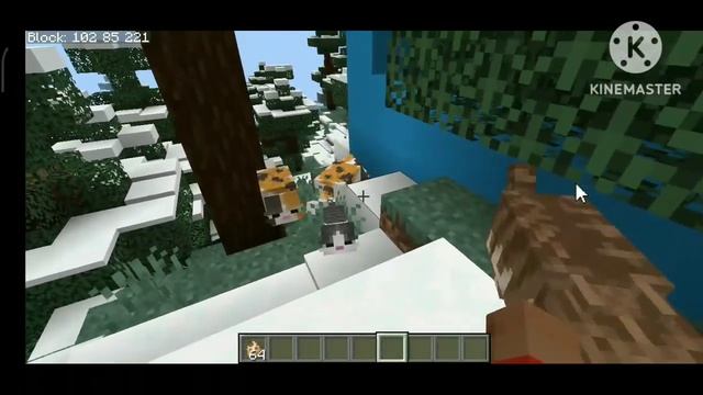 better fat cat minecraft pe mcpe mcbe mc win 10 download link mediafire смотреть онлайн